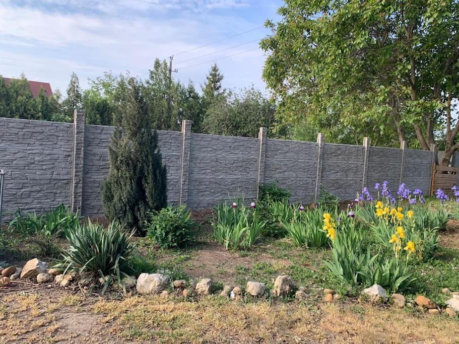 Erd - Csendes, Kenyelmes Csaladi Haz Apartment Bagian luar foto